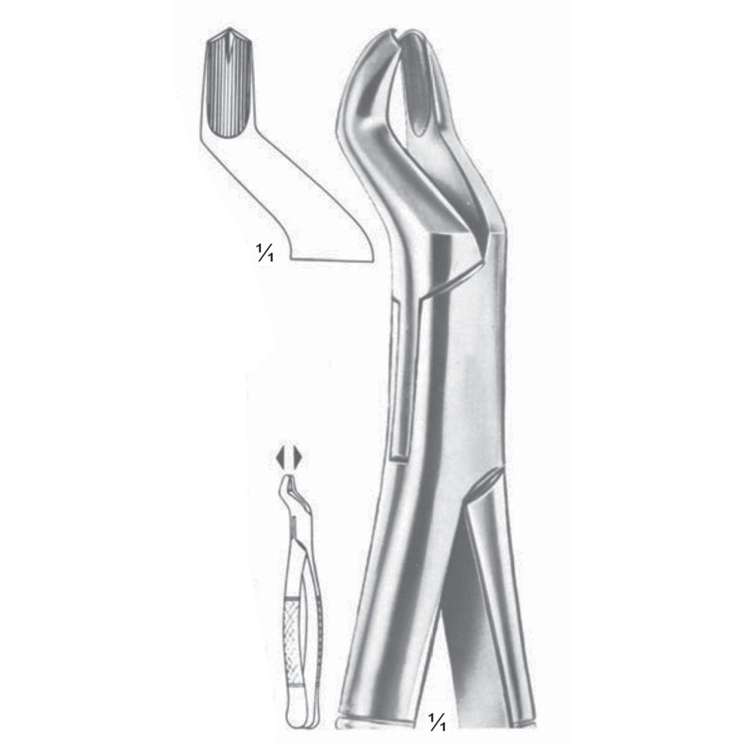 Extracting Forceps Upper Molars, Right Fig 53 R (M-143-53R) by Dr. Frigz