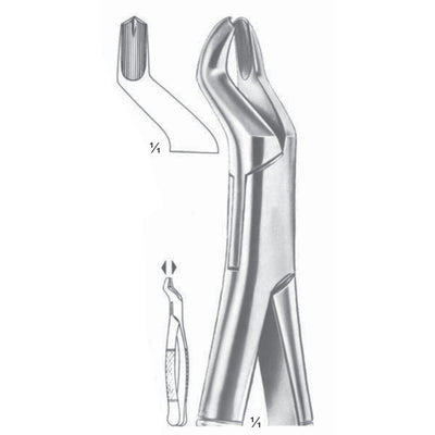 Extracting Forceps Upper Molars, Right Fig 53 R (M-143-53R)