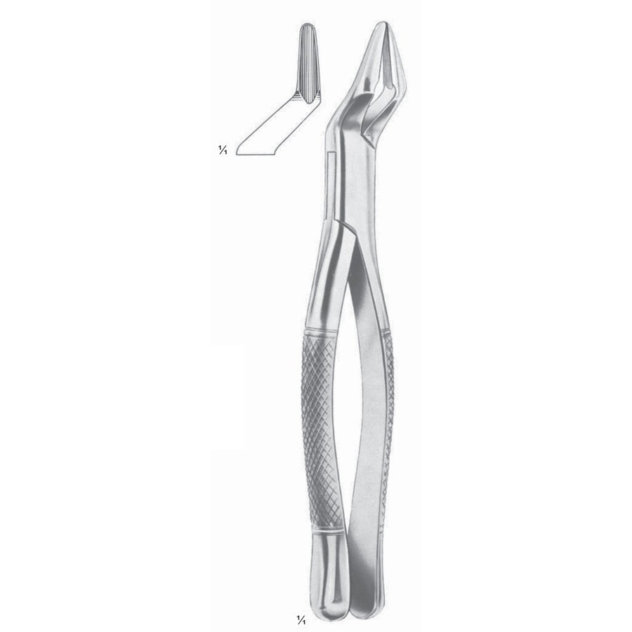 Parmly Extracting Forceps Upper Premolars And Molars Fig 32 A (M-144-32) by Dr. Frigz