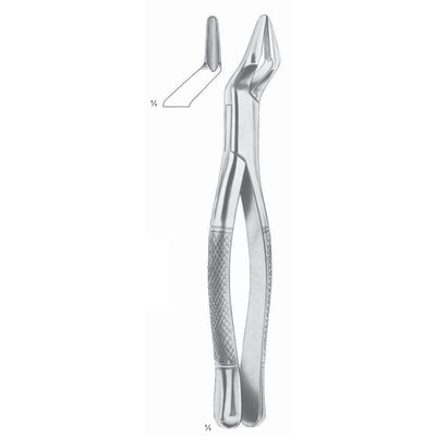 Parmly Extracting Forceps Upper Premolars And Molars Fig 32 A (M-144-32)