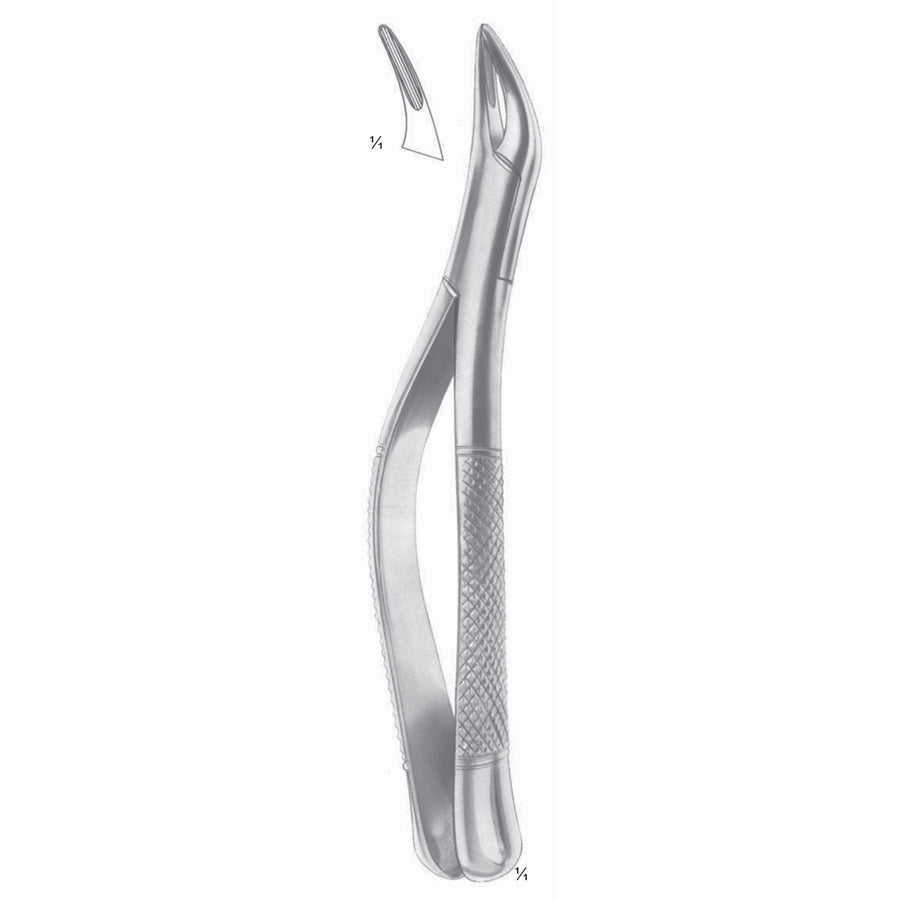 Thomas Extracting Forceps Upper And Lower Roots Fig 69 (M-146-69) by Dr. Frigz