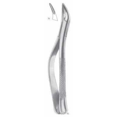 Thomas Extracting Forceps Upper And Lower Roots Fig 69 (M-146-69)
