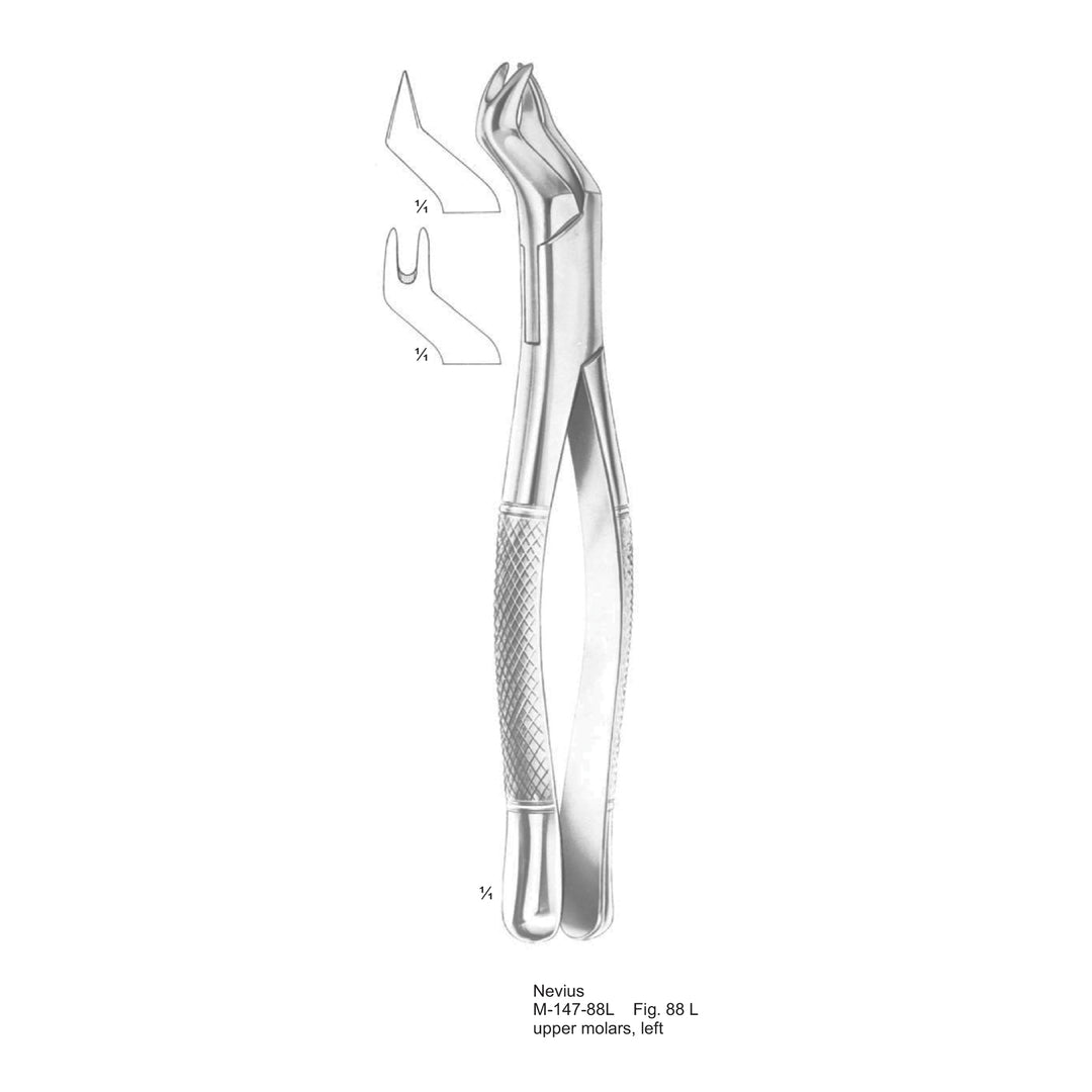Nevius Extracting Forceps Upper Molars, Left Fig 88 L (M-147-88L) by Dr. Frigz