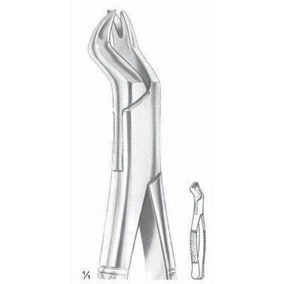Nevius Extracting Forceps Upper Molars, Right Fig 88 R (M-148-88R)