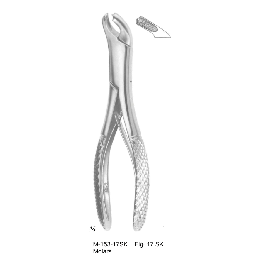 Extracting Forceps Molars Fig 17 Sk (M-153-17Sk) by Dr. Frigz