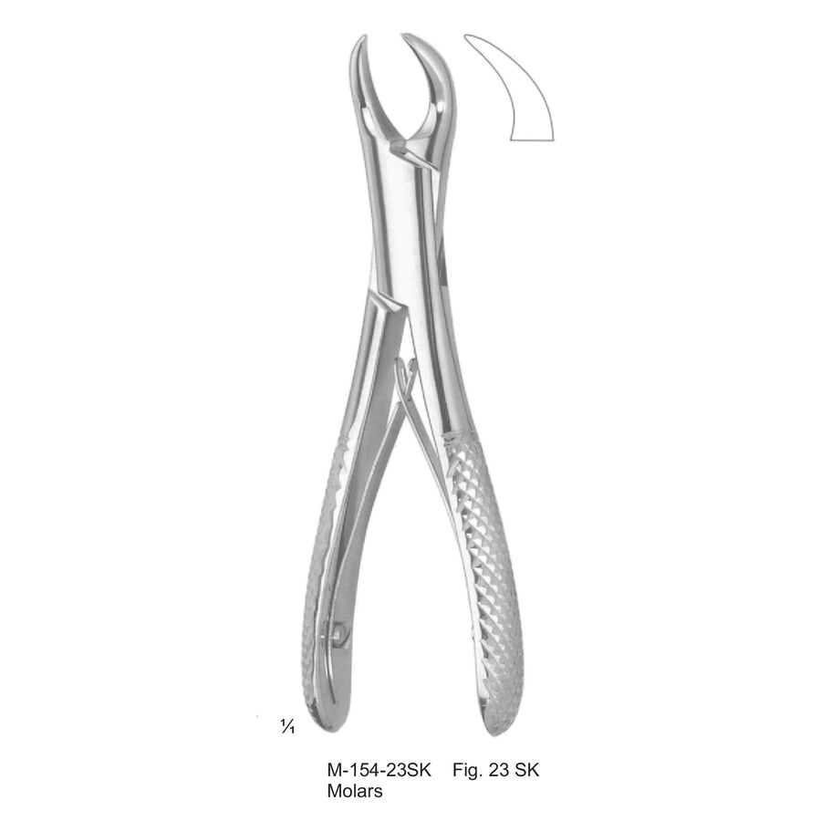 Extracting Forceps Molars Fig 23 Sk (M-154-23Sk) by Dr. Frigz