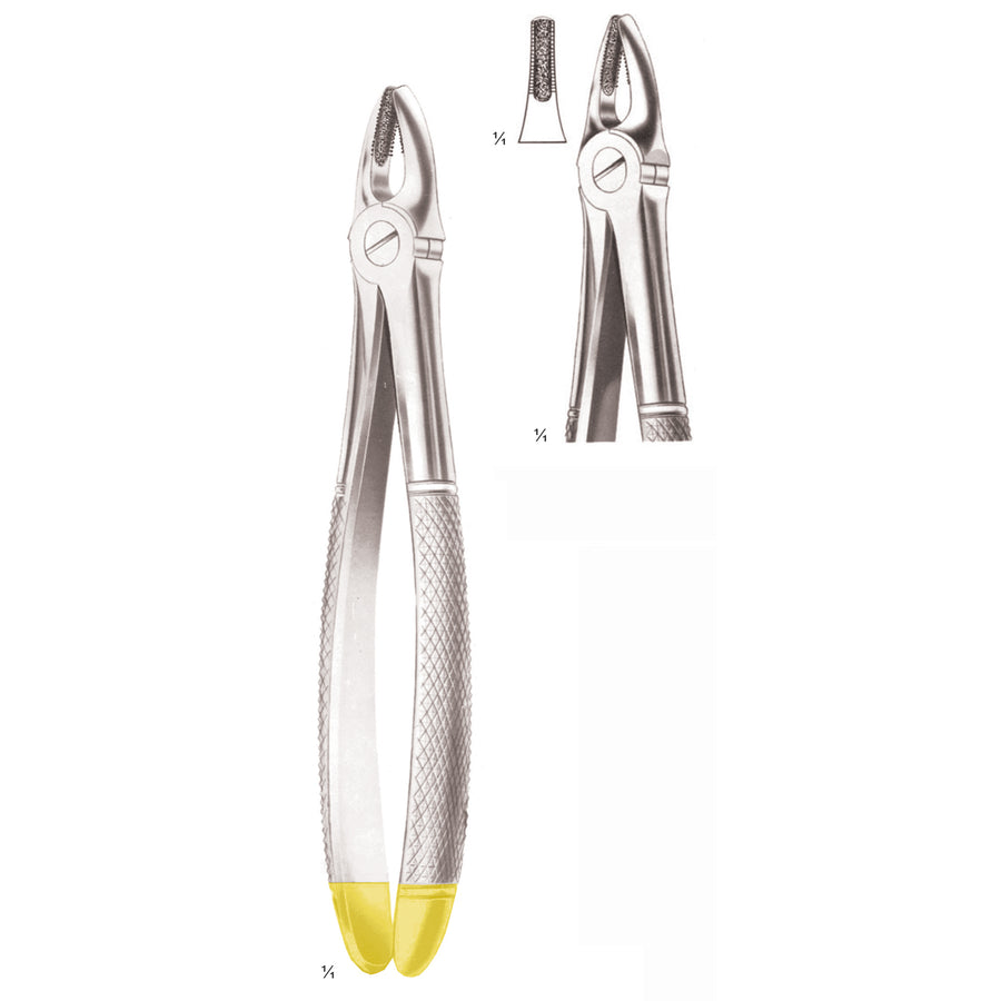Extracting Forceps Upper Incisors And Canines, Diamond-Coated Jaws Fig 2 (M-160-02) by Dr. Frigz