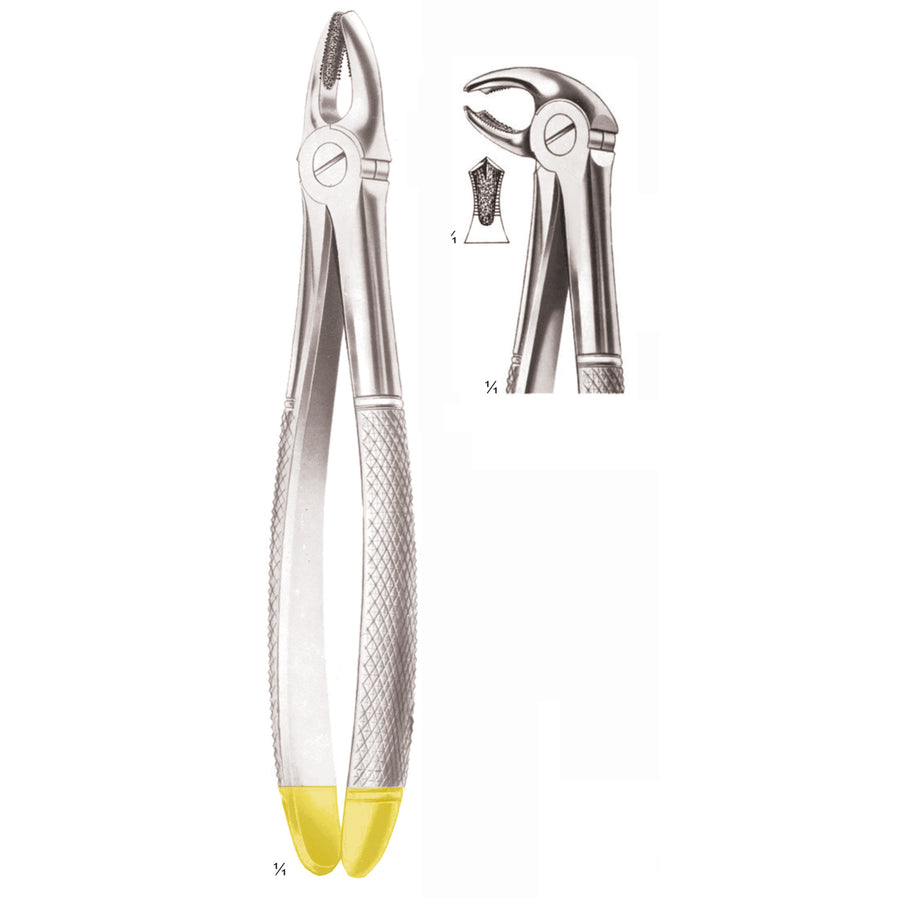 Extracting Forceps Lower Molars, Diamond-Coated Jaws Fig 22 (M-165-22) by Dr. Frigz