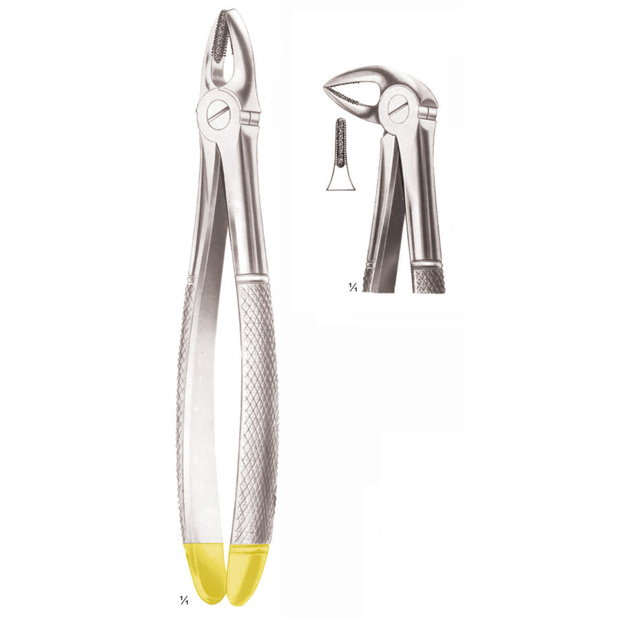 Extracting Forceps Lower Roots, Diamond-Coated Jaws Fig 33 (M-166-33) by Dr. Frigz