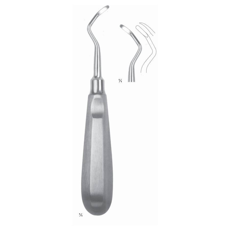 Miller-Apexo Root Elevators Fig 11 (N-012-11) by Dr. Frigz