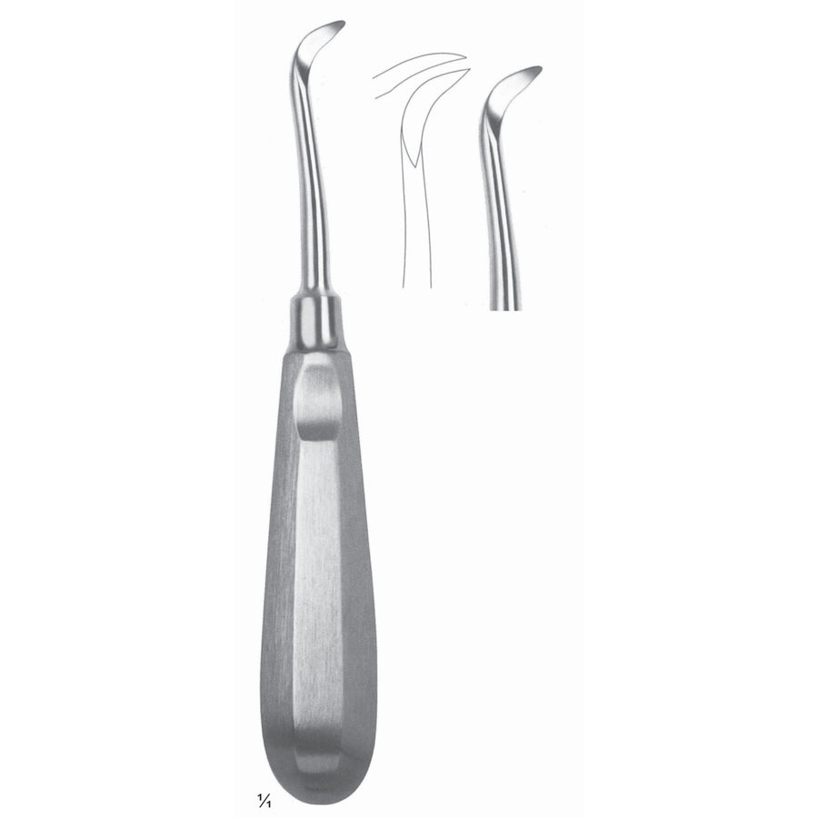 Root Elevators Fig 50 (N-021-50) by Dr. Frigz