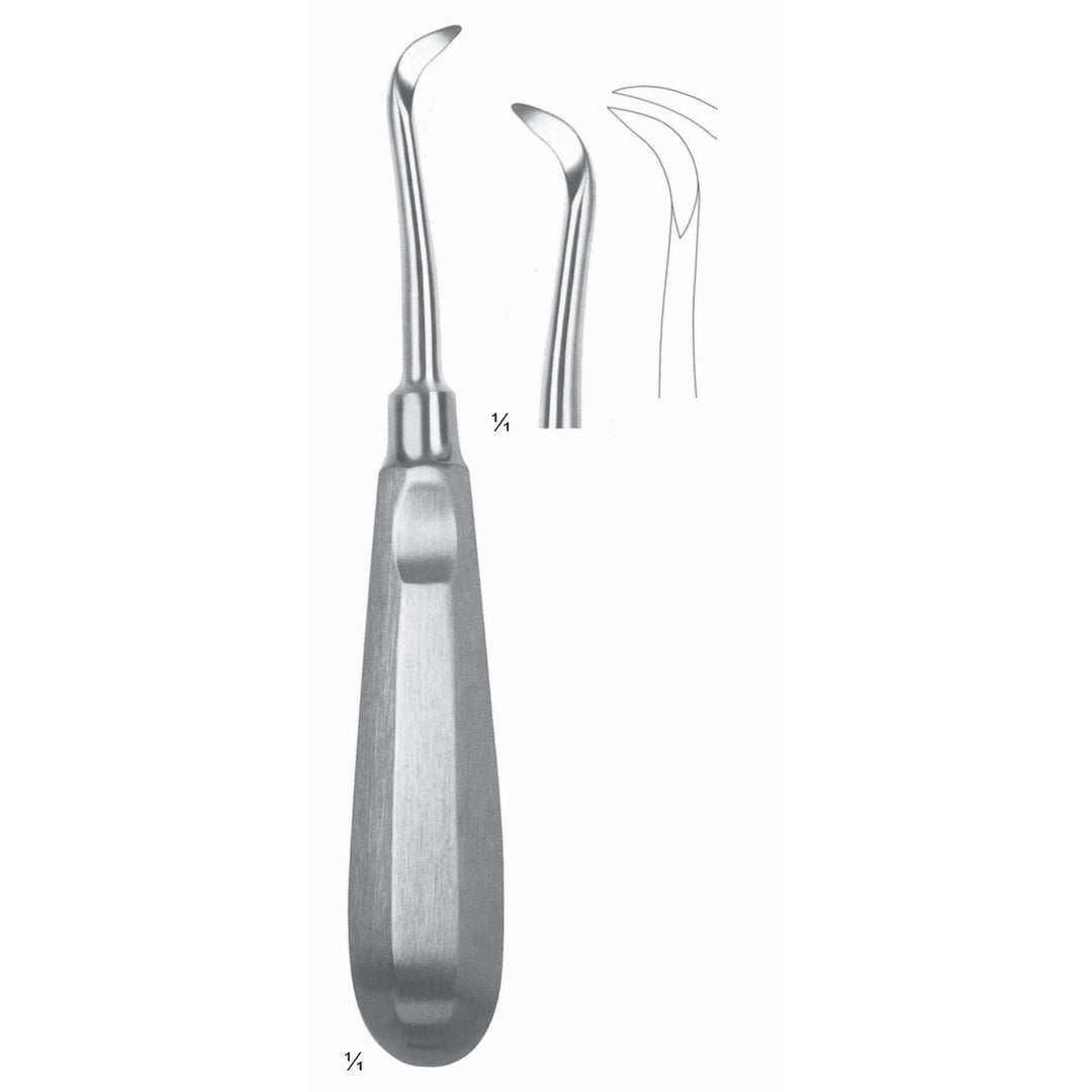 Root Elevators Fig 51 (N-022-51) by Dr. Frigz