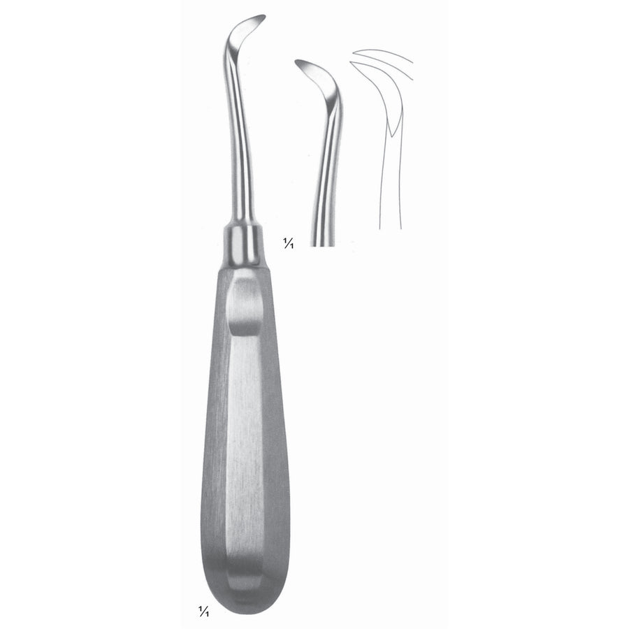Root Elevators Fig 51 (N-022-51) by Dr. Frigz