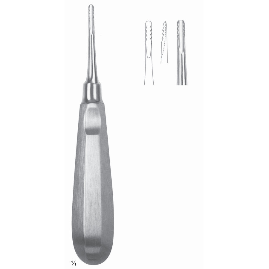 Lindo-Levian Root Elevators Fig 1 (N-023-01) by Dr. Frigz