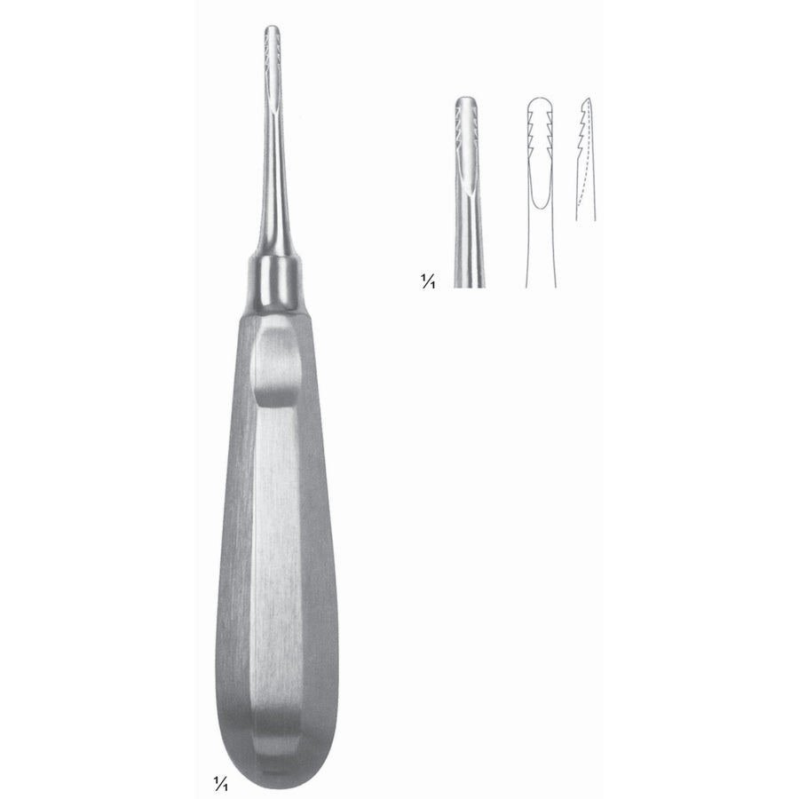 Lindo-Levian Root Elevators Fig 3 (N-024-03) by Dr. Frigz