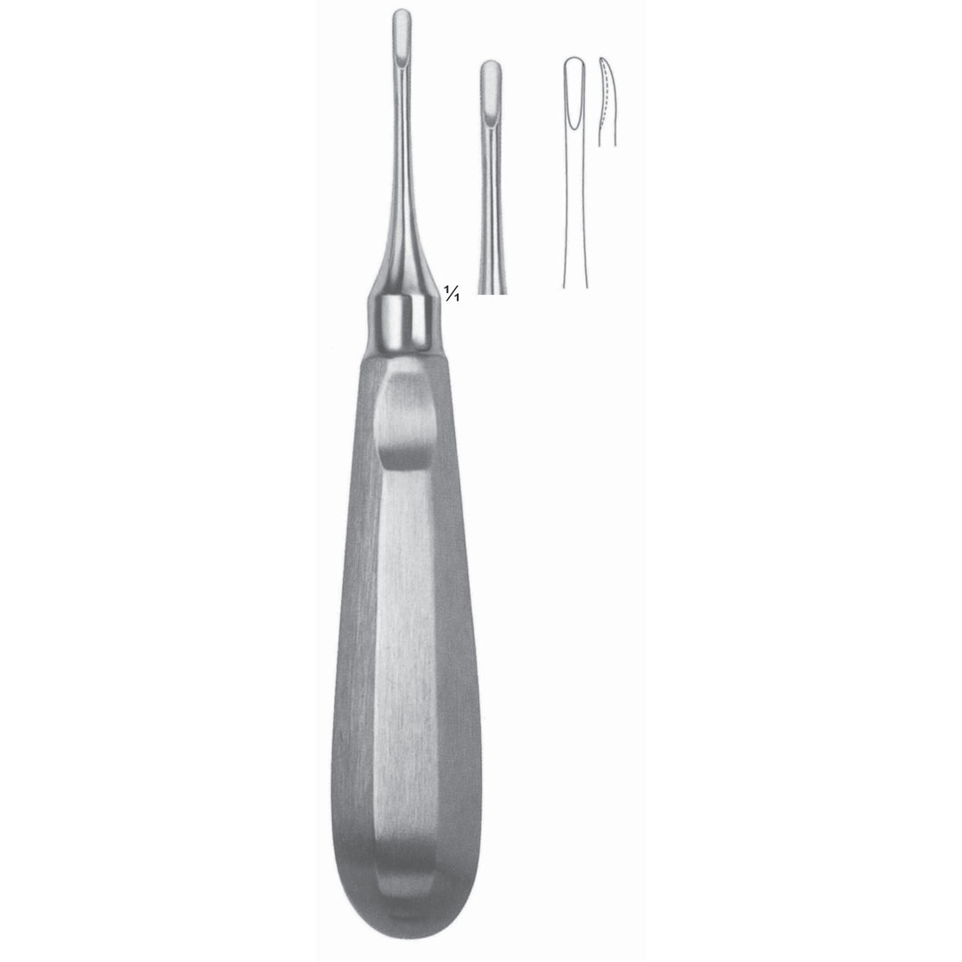 Friedman Root Elevators Fig 1 (N-061-01) by Dr. Frigz