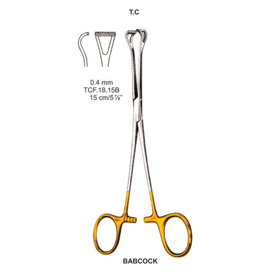 TC-Babcock Tissue Seizing Forceps, 0.4mm , 15cm  (TCF-18-15B)