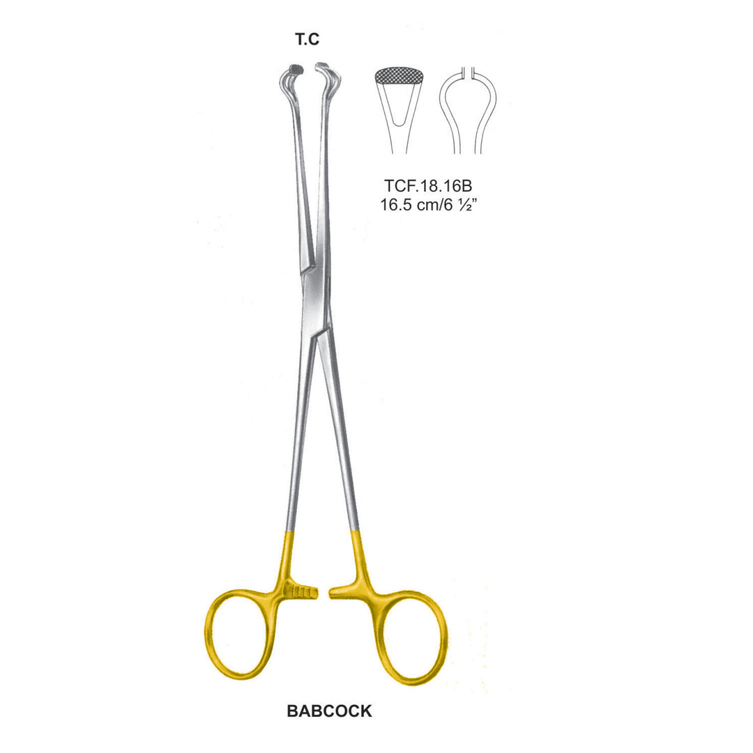 TC-Babcock Intestinal Tissue Forceps 16.5cm (Tcf.18.16B) by Dr. Frigz