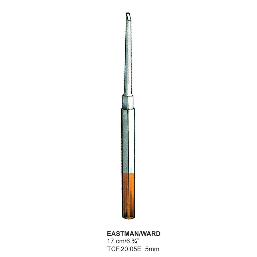 TC-Eastman/Ward, Chisels, 5mm , 17cm  (Tcf.20.05E) by Dr. Frigz