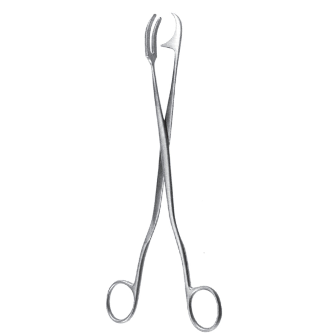 Rogge Sterilization 23cm (X-003-23) by Dr. Frigz